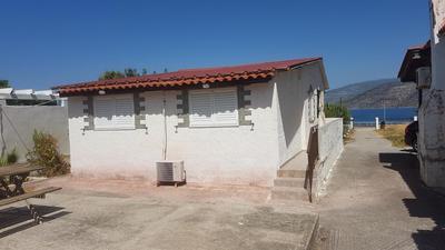 Theodora's Place