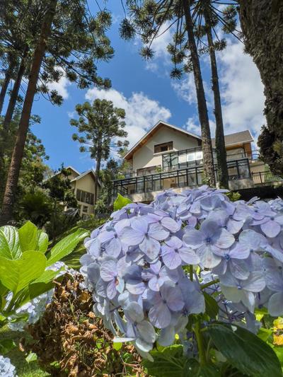 Araucária Lodge - 800 metros do Capivari