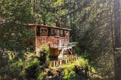 Evergreen Escape