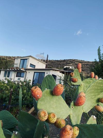 Komos view