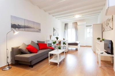 Céntrico estudio zona Ramblas 22