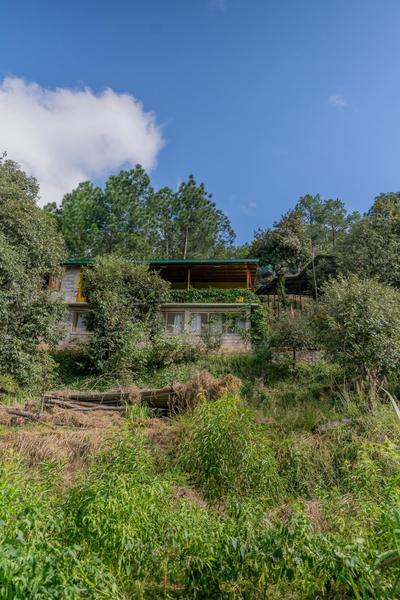 Shilang Orchard by Homeyhuts