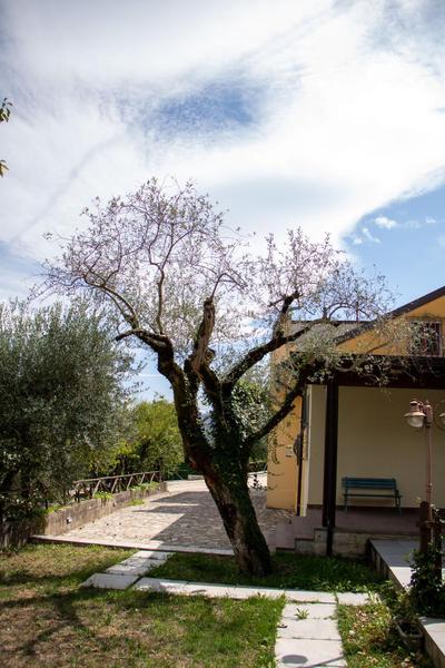 Lapio Relax - Villa con piscina