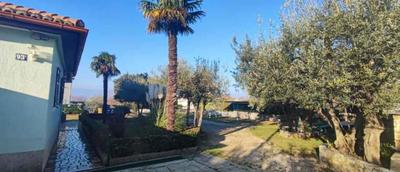 Apartment in Sveti Miholjice - Insel Krk 50157