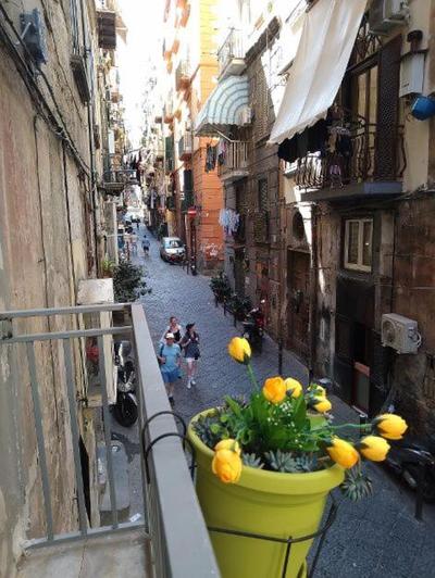 La conchiglia Napoli