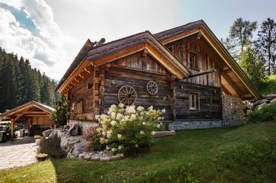 Chalet am Oberhausberg, Region Schladming Dachstein