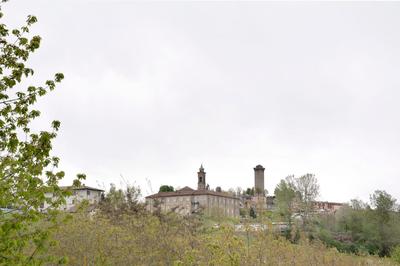 Casa Rea