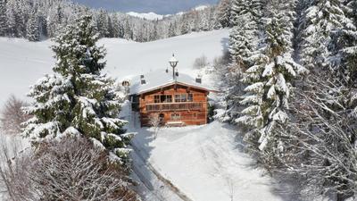 ChaletWK - Luxury old wood mountain chalet in a sunny secluded location with gym, sauna & whirlpool