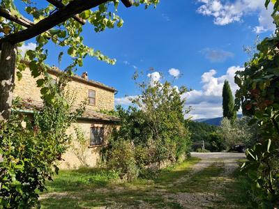 Olivo at Pietraie a cottage with many flowers in the Valley