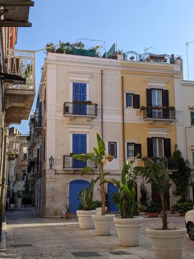 La Fenice - Splendore