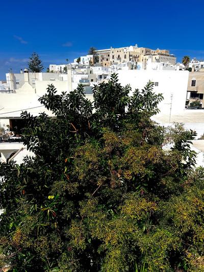 Bellissimo apartment Naxos