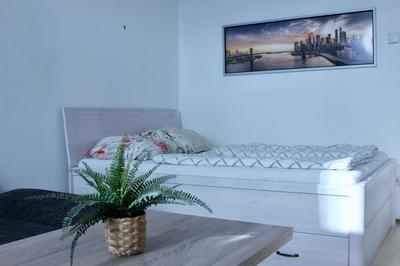 Cozy one bedroom apartment in Vienna