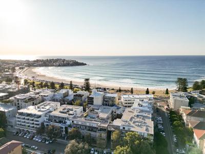 Little Drifter Bondi