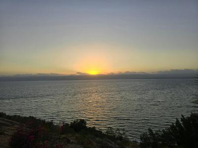 Deadsea Samarah Resort