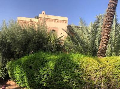 Appartement palmeraie