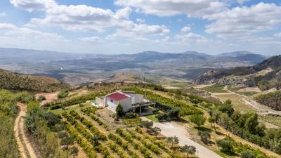 Villa Bonifato vista sulle campagne e sul mare siciliano COZY HOUSE ITALY