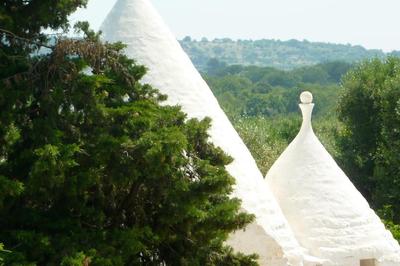 L'ANNAMARCO private storical Trullo and Property with large & nice swiming-pool