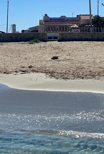 Blu Marzamemi Rooms