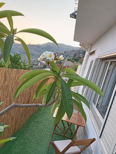 Holiday Room "Pomelia" Taormina