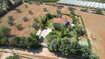 Villa Leone