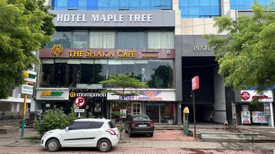 Hotelmaple tree
