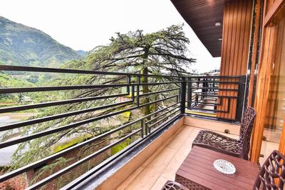 LA Riqueza Koala Inn Mcleod Ganj - Mountain View Rooms with Balcony - Near to Mall Road