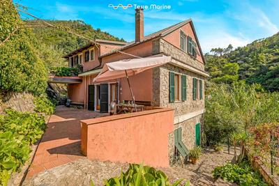 Firefly House, Terre Marine