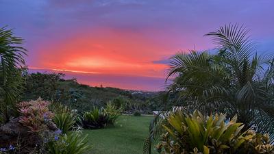 Urban Tropical Boutique Hotel