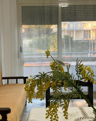 As 5 apartamente