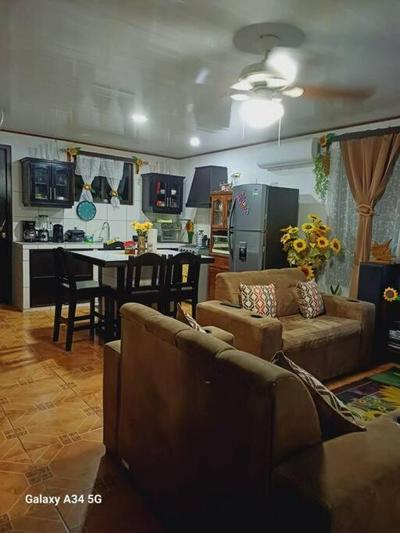 Casa girasol El bambú