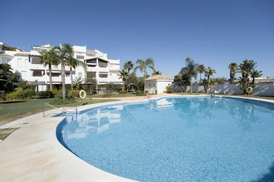 Palmeras Candor by Staycare