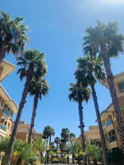 Flat moderno e aconchegante às margens do lago