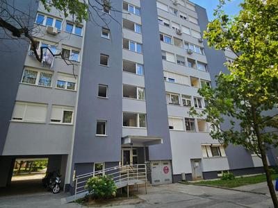 Apartman Aleja