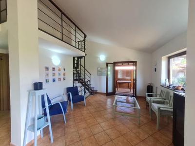 Holiday House Stella by Holiday World