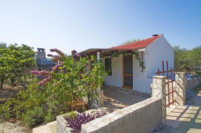 House Senka1