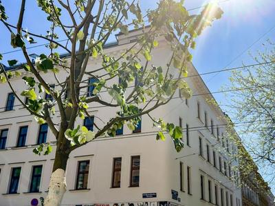 Schönes DG-Apartment mit Terrasse