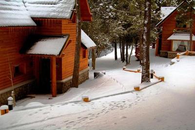 Bosque Dormido Cabañas & Spa