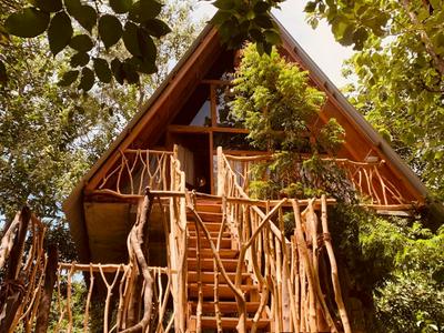 Angry Birds Tree house new cabana