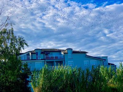 Apartments C'EST LA SEA - Whirlpool-Suite oder Dachterrassen-Suite - Pets welcome