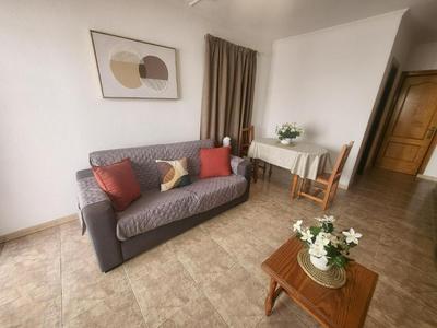 Las Floritas 5 - Plumeria