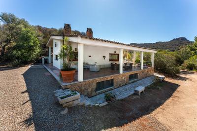 Villa cistus silvestre