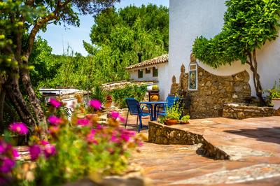 Cinco Lunas VEGETARIAN Guesthouse