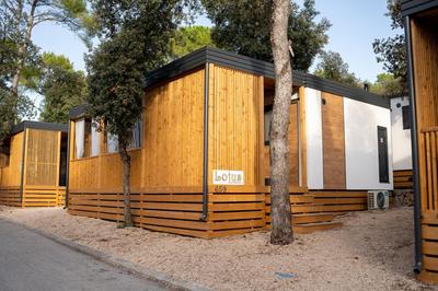 Mobile Home Lotus