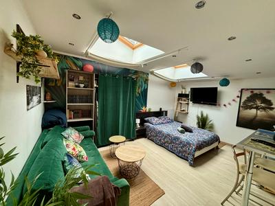 Jungle Studio - 2P à 4P -Henriville