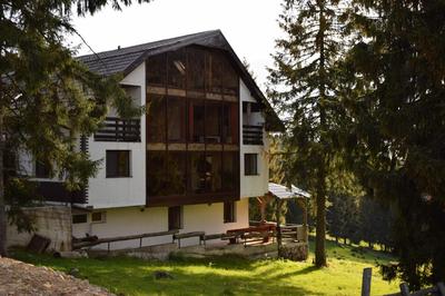 Pensiunea Vila Daniel