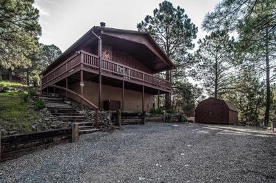 Horsin Around-cabin With A Peaceful Covered Deck