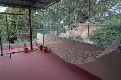 Jay Stays Anegundi Hampi