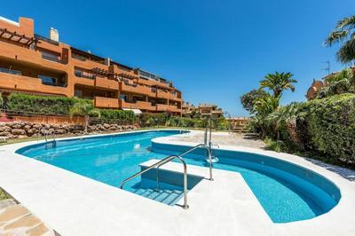 Apartment 1 bedroom with pool view