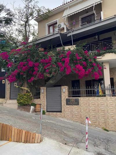 MarGio Skiathos Apartments