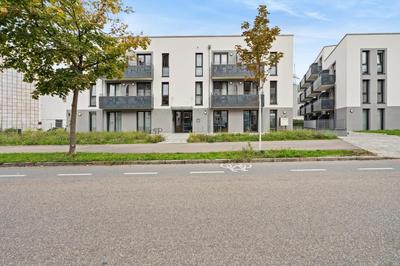 Arbio I Rooms & Apartments Freiburg